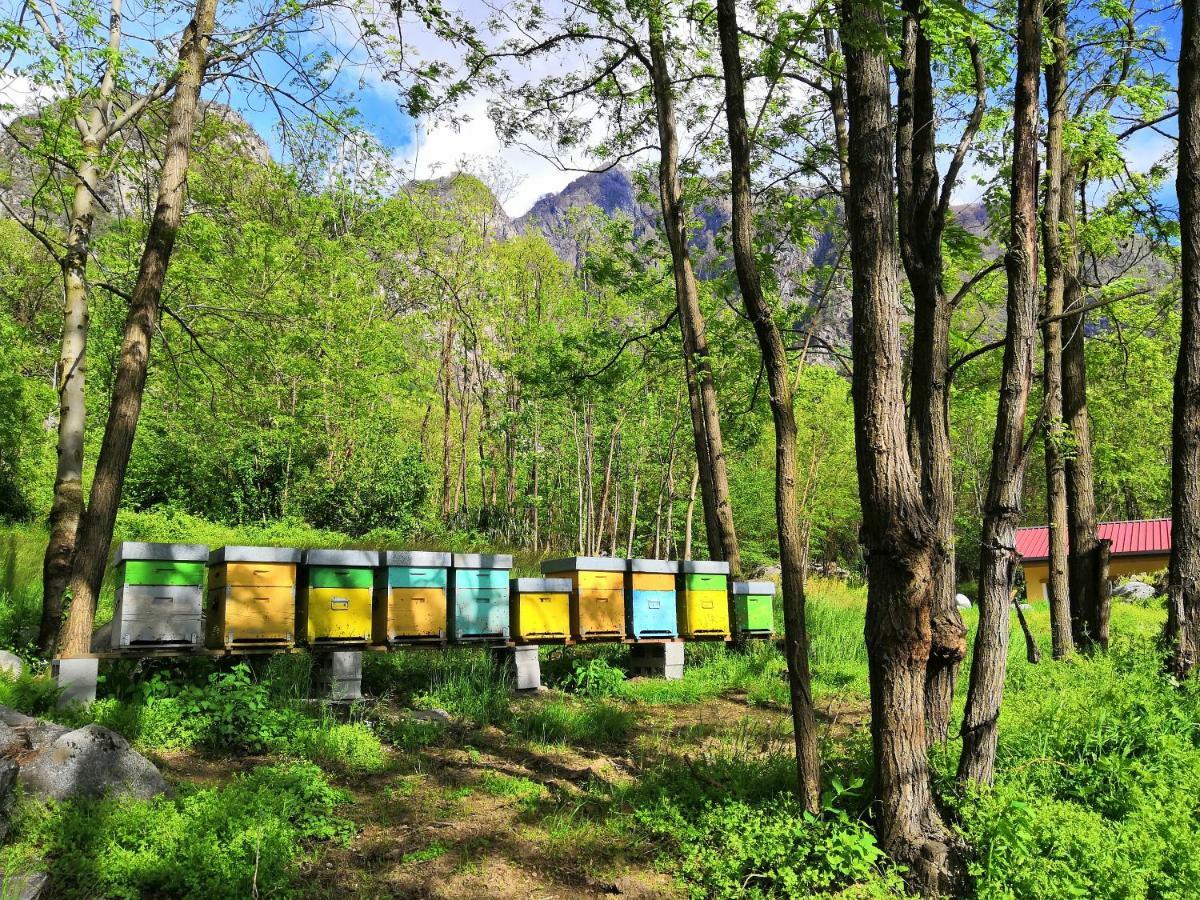 Agriturismo Val Codera Verceia Ngoại thất bức ảnh